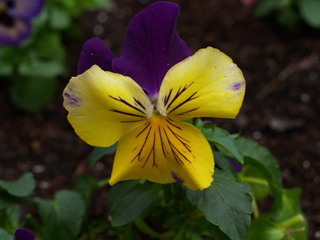 PC261912.jpg