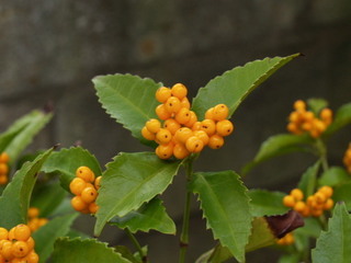 PC261929.jpg