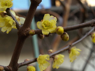 PC271291.jpg