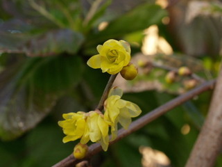 PC271303.jpg
