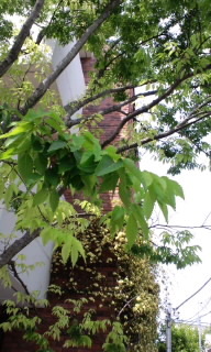 110506_1319~010001.jpg