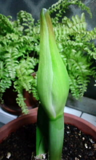 120117_2202~010001.jpg