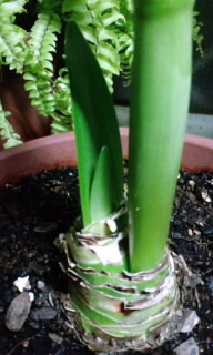 120117_2203~010001.jpg