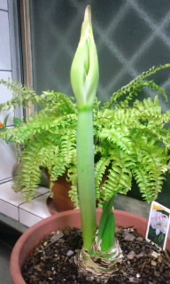 120120_2121~010001.jpg
