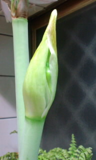 120210_0002~010001.jpg