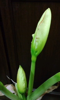 120213_2336~010001.jpg