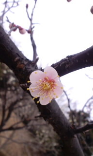 120307_1200~010001.jpg